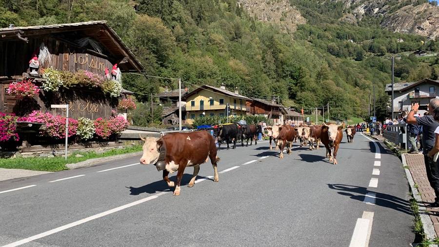 Valtournenche